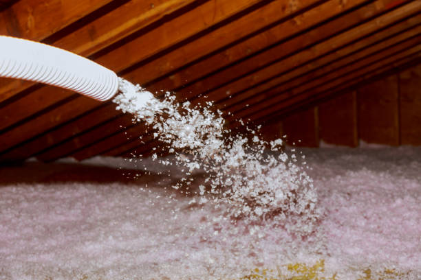 Best Insulation Replacement Services  in Pandora, OH