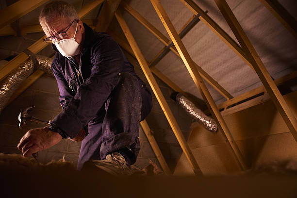 Best Fiberglass Insulation  in Pandora, OH